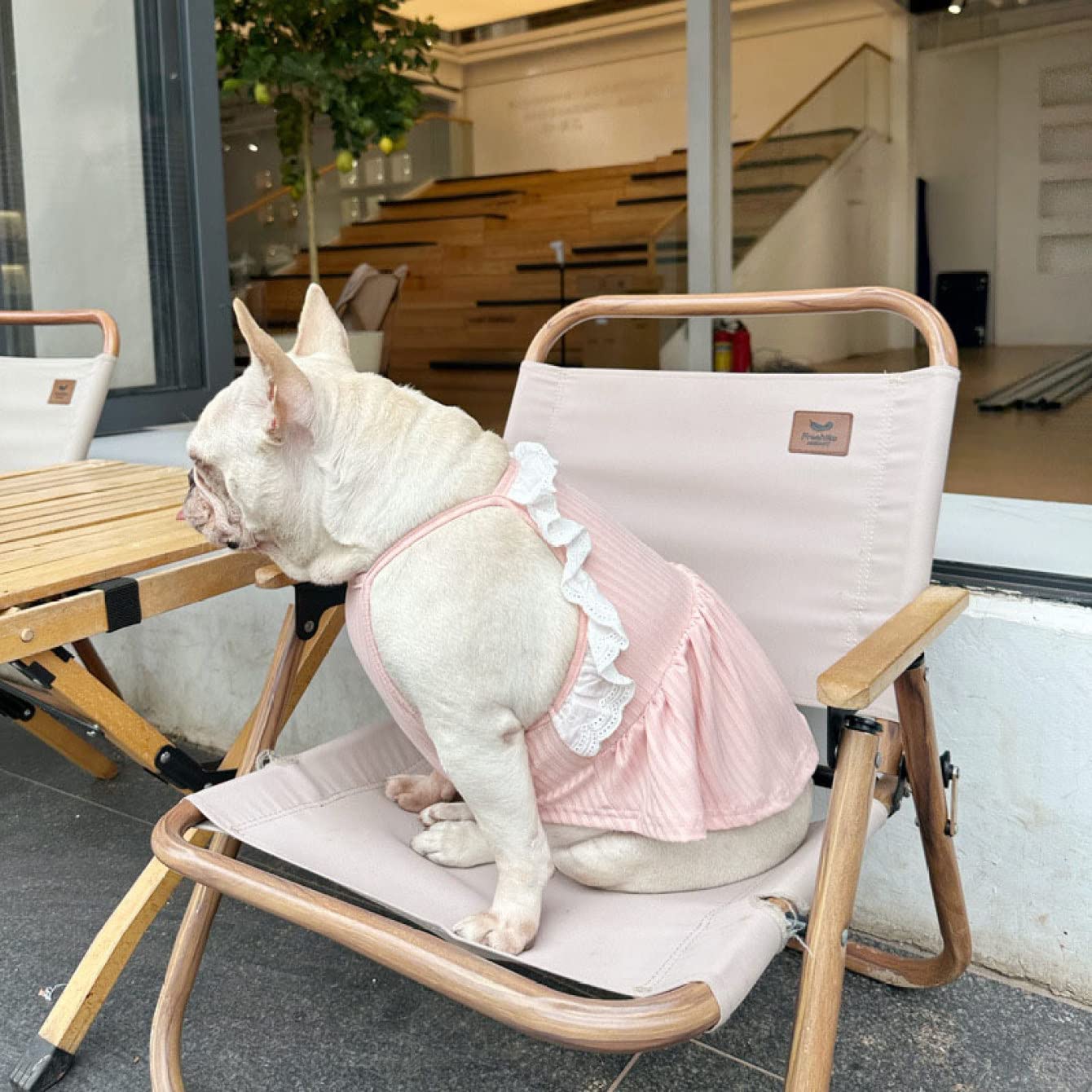 韓国犬服ブランド　mininut セットアップ　ピンク　Mサイズ Amazon | [JUI3N] 犬服 キャミ 春夏 ピンク 女の子 ペット服 韓国
